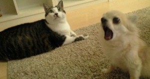 090721_2225~0001 090721_2225~0001