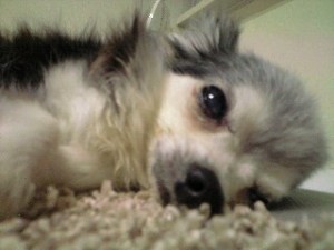 090825_2201~0001 090825_2201~0001