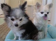 090910_1421~0001 090910_1421~0001