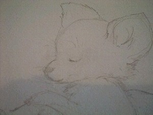 ココチサンクス ココチサンクス