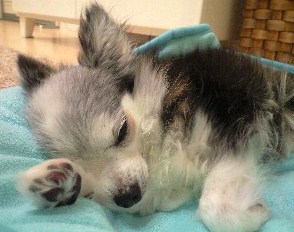 090912_2327~0001 090912_2327~0001