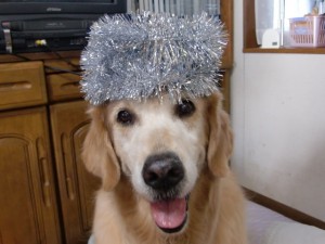 アメブロ用21.9.13 002