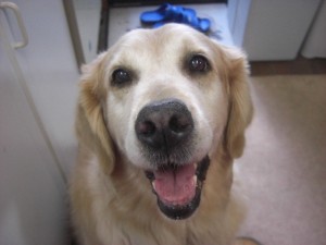 21.5.23ブログ用 005