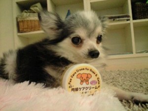 うめクリーム うめクリーム