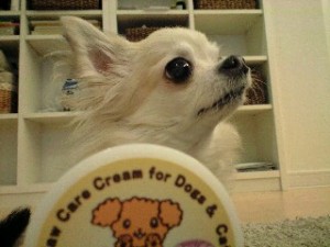 はなクリーム はなクリーム