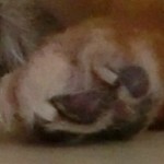 005 - コピー 005 - コピー