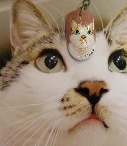 ネイルチップアクセサリー ネイルチップアクセサリー