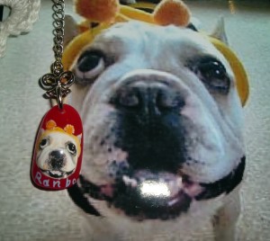 ランボー ランボー