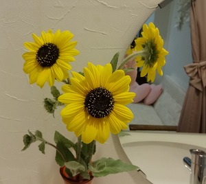 013 013