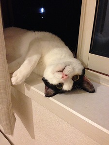 のり子北の窓７月