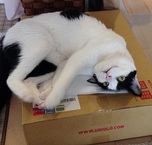 範子さん８月０８②