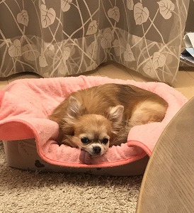 2017081408 2017081408