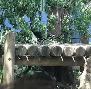 2018051803 2018051803