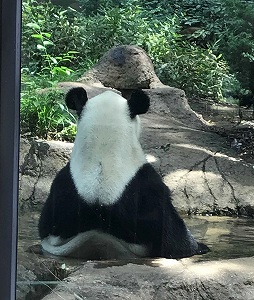 2018051806 2018051806