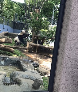 2018051811 2018051811