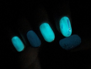 2019030301 2019030301