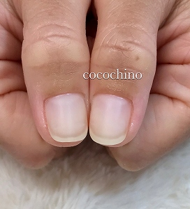 2019042906 2019042906
