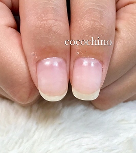 2019052702 2019052702